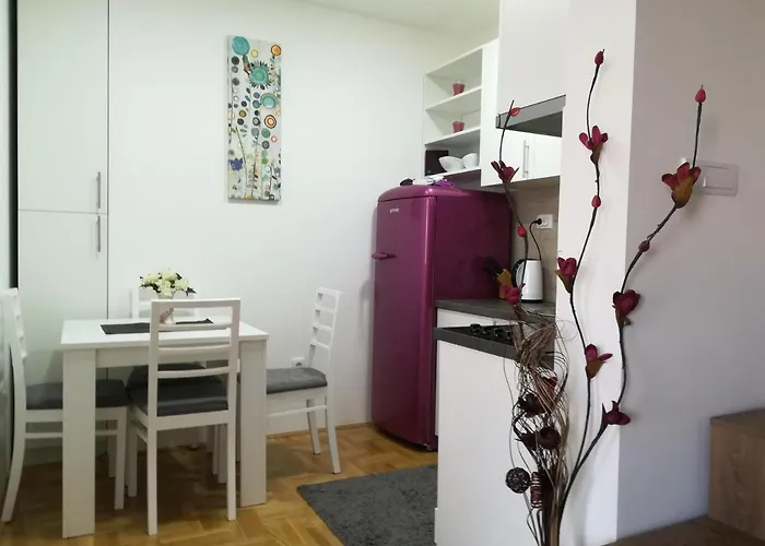 Bajka 아파트 발제보